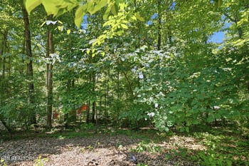 3423 Hackworth Rd, Knoxville, TN 37931