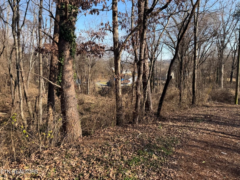 3436 Divide St, Knoxville, TN 37921