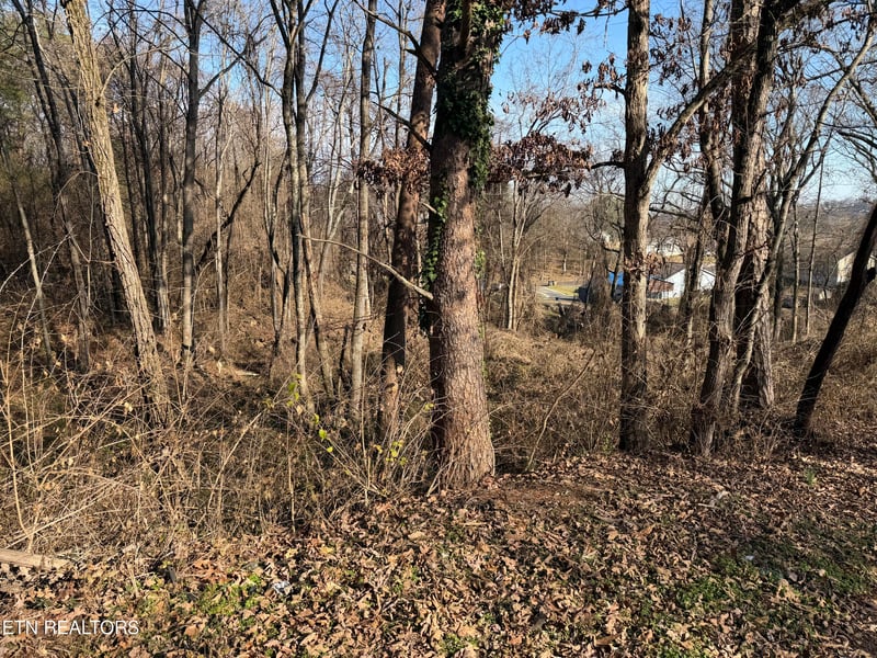 3436 Divide St, Knoxville, TN 37921