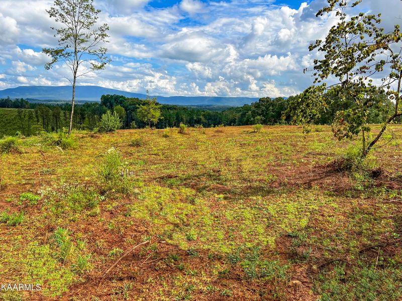 344 County 963 Rd, Calhoun, TN 37309