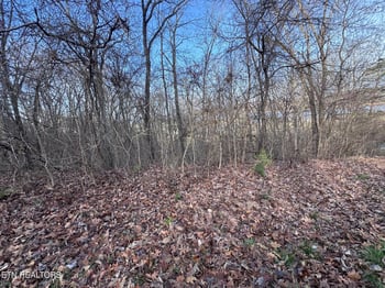344 Larayne Hollow Rd, Sharps Chapel, TN 37866