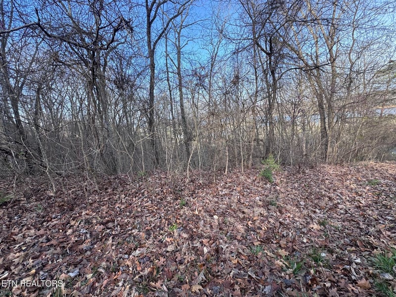 344 Larayne Hollow Rd, Sharps Chapel, TN 37866