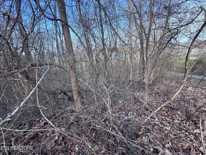 344 Larayne Hollow Rd, Sharps Chapel, TN 37866