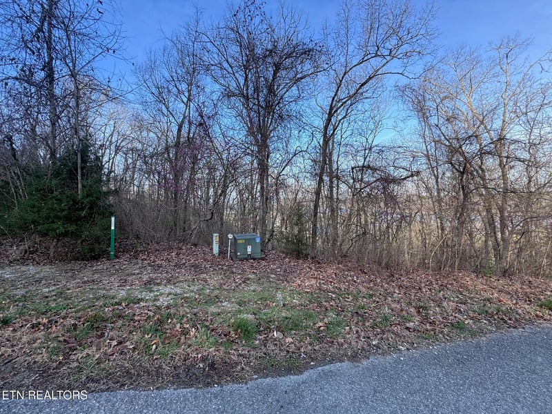344 Larayne Hollow Rd, Sharps Chapel, TN 37866