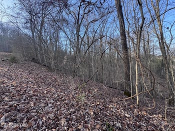 344 Larayne Hollow Rd, Sharps Chapel, TN 37866