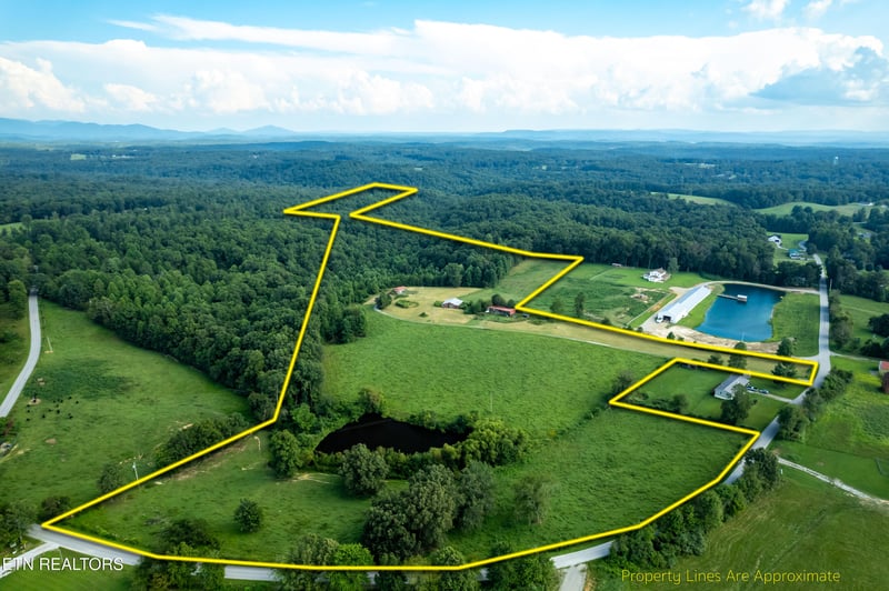 346 Christenson Rd, Deer Lodge, TN 37726