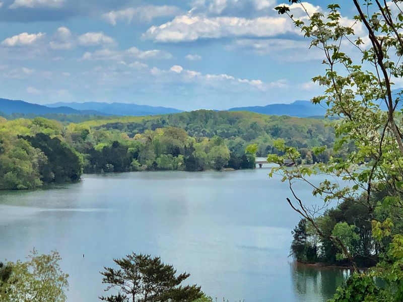347 Southshore Dr, Greenback, TN 37742