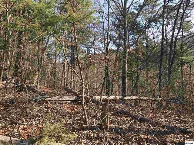 3489 Lost Branch Rd, Sevierville, TN 37862