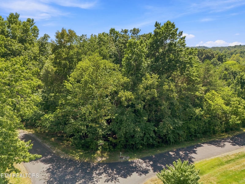 349 Dudala Way, Loudon, TN 37774
