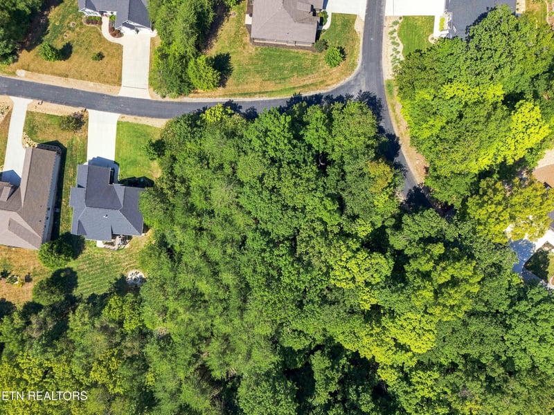 349 Dudala Way, Loudon, TN 37774