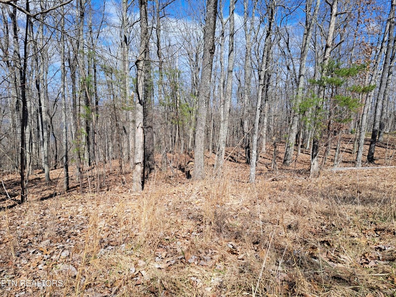349 Rotherham Dr, Crossville, TN 38558
