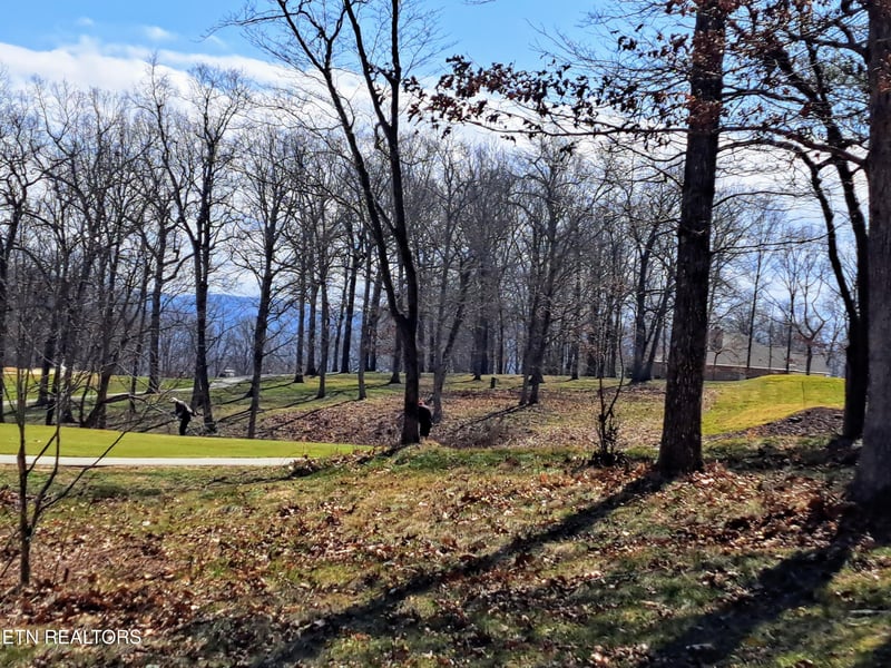 349 Rotherham Dr, Crossville, TN 38558