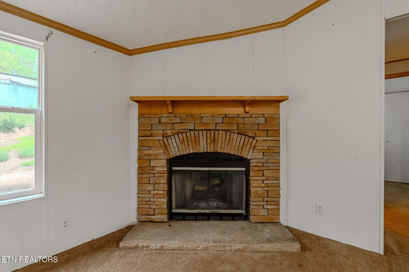 349 S Marlowe Ln, Speedwell, TN 37870