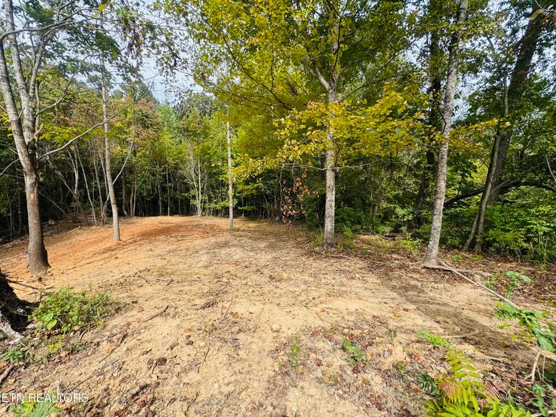 349 Wells Rd, Powell, TN 37849