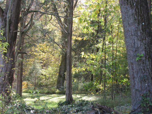 35 Dairy Pond Rd, Norris, TN 37828