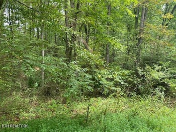 35 Ottoma Dr Lot 35, Crossville, TN 38555