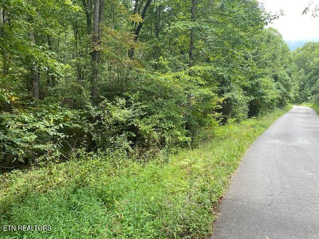 35 Ottoma Dr Lot 35, Crossville, TN 38555