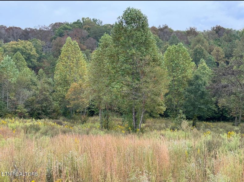 351 White Plains Rd, Vonore, TN 37885