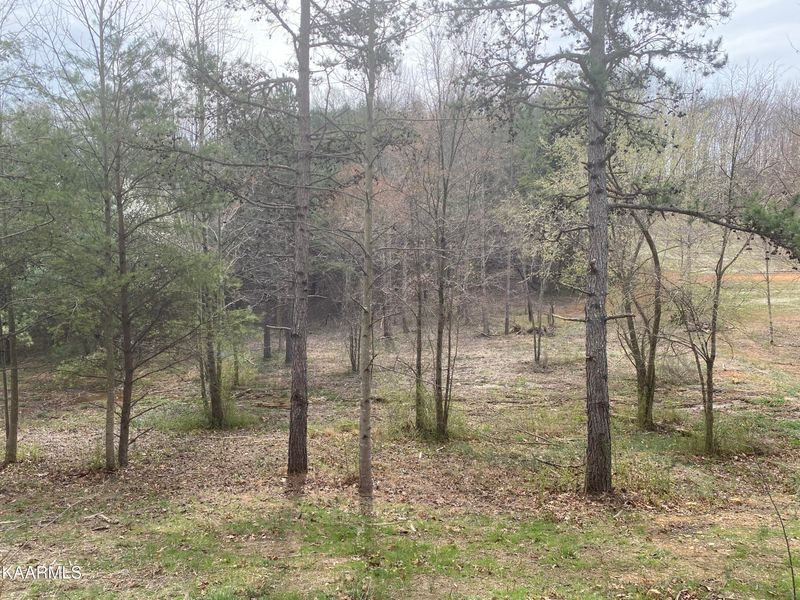 3510 Maple Hill Rd, Loudon, TN 37774