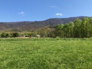3511 Covemont Ln, Sevierville, TN 37862