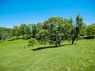 3514 George Light Rd, Knoxville, TN 37931