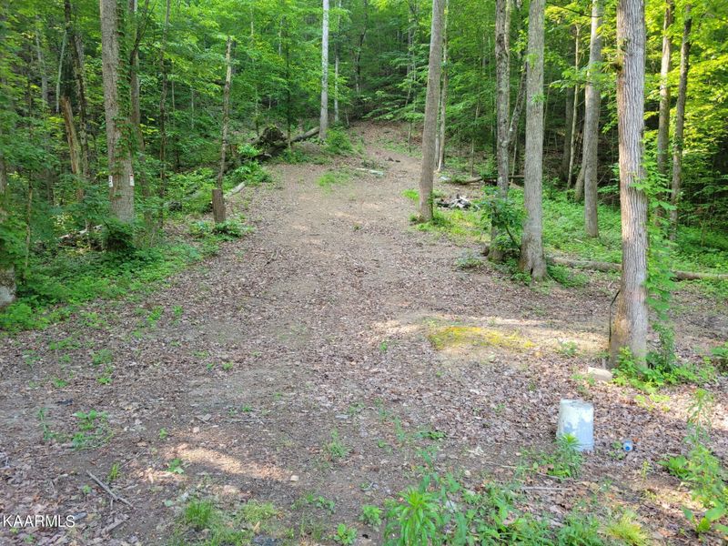 3515 Poor Valley Rd, Rutledge, TN 37861