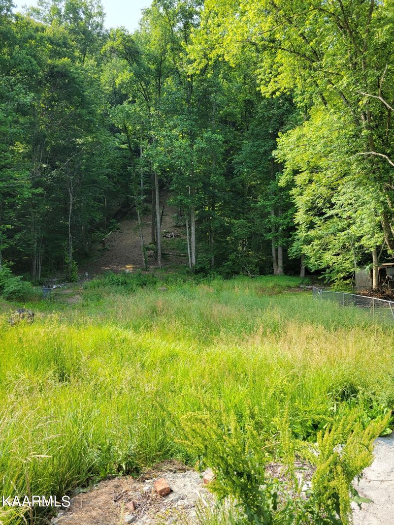 3515 Poor Valley Rd, Rutledge, TN 37861