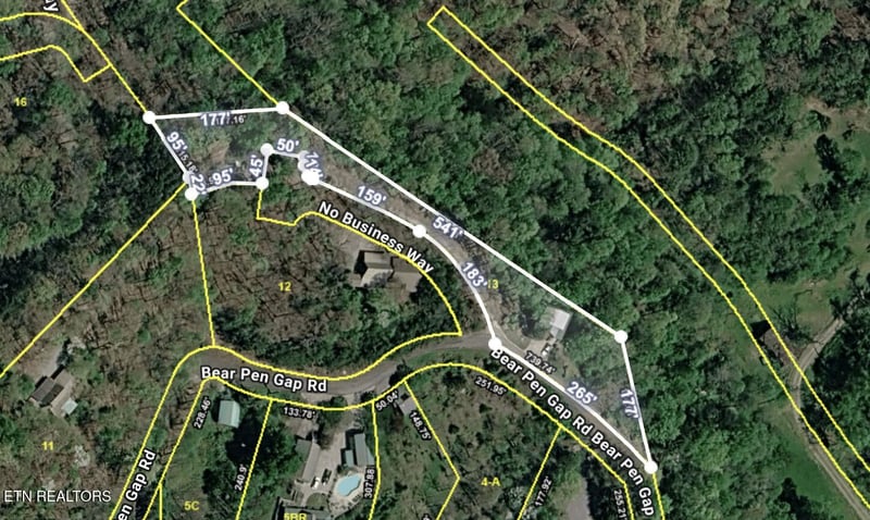 3520 Bear Pen Gap Rd, Sevierville, TN 37876