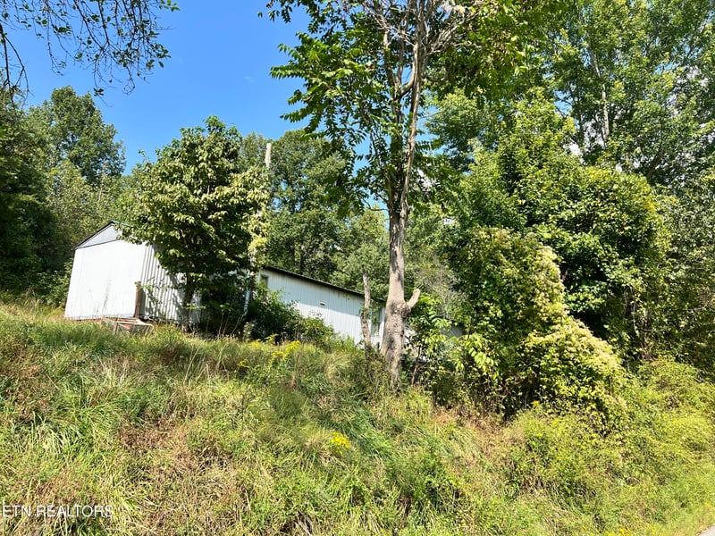 3525 Campground Rd, Sunbright, TN 37872