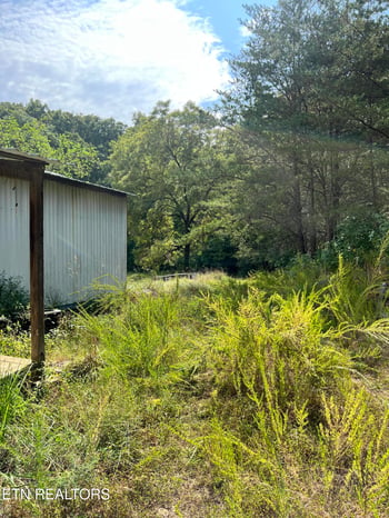 3525 Campground Rd, Sunbright, TN 37872