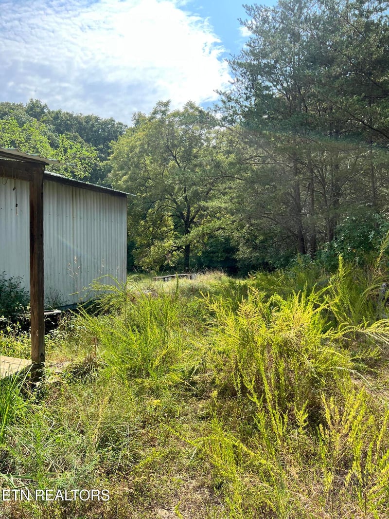 3525 Campground Rd, Sunbright, TN 37872