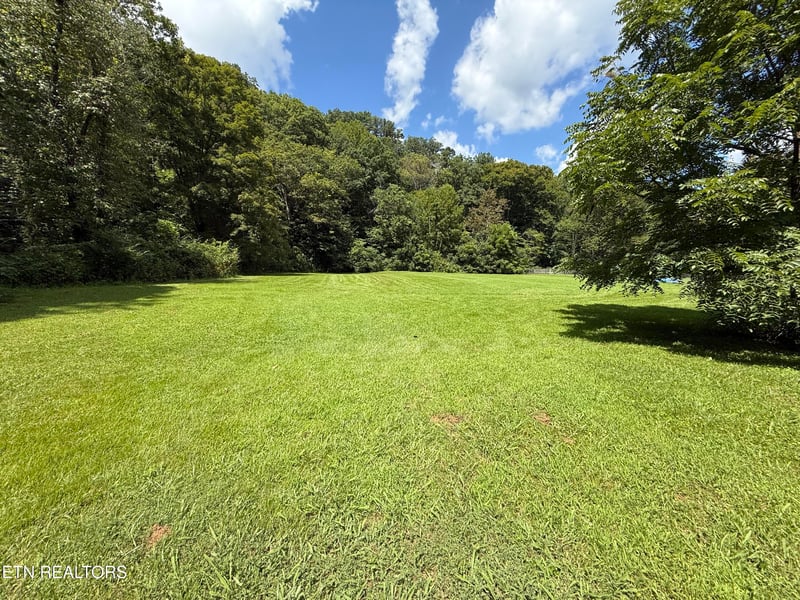 353 Cotula Rd, Duff, TN 37729