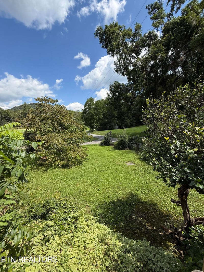 353 Cotula Rd, Duff, TN 37729