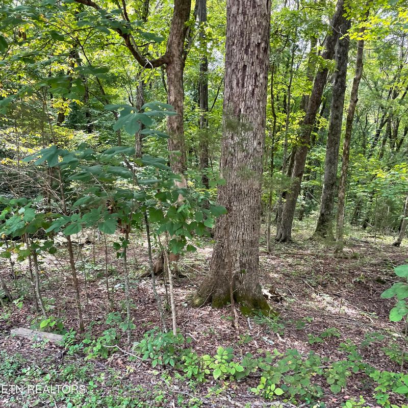 353 Dudala Way, Loudon, TN 37774