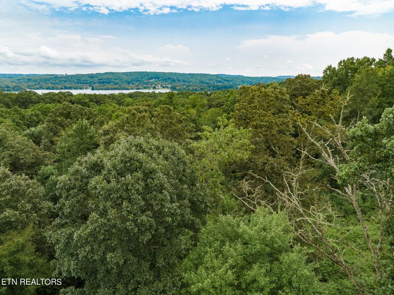354 Eagle Ridge Dr, Rockwood, TN 37854