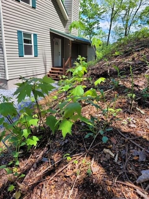 3557 Deer Foot Way, Sevierville, TN 37876