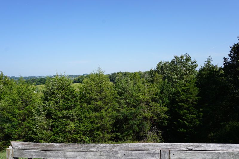 356 Alder Branch Rd, Sevierville, TN 37876