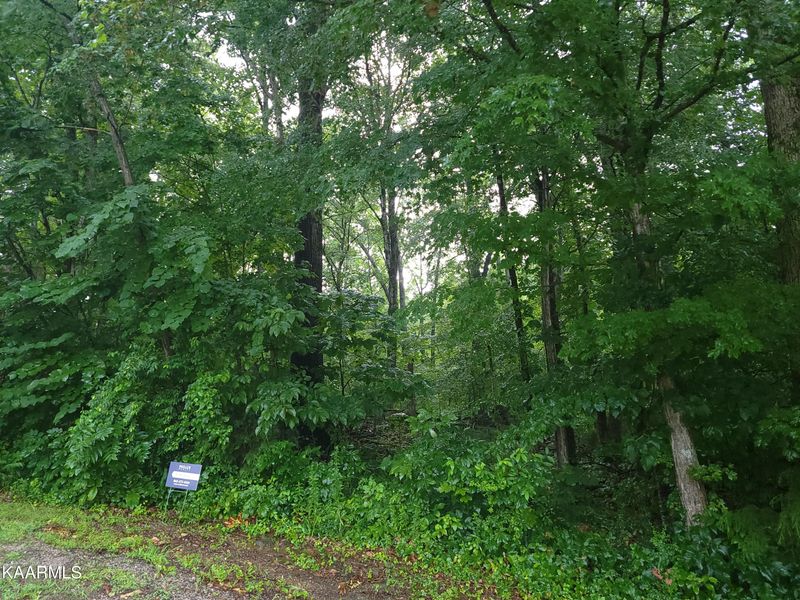 356 Dudala Tc, Loudon, TN 37774