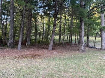 3561 Grave Hill Rd, Oneida, TN 37841