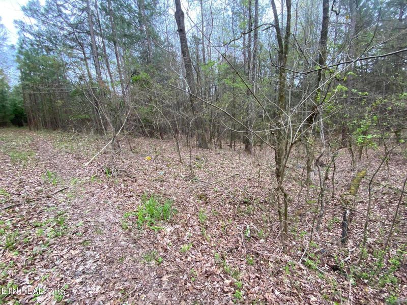 357 County Road 669, Athens, TN 37303