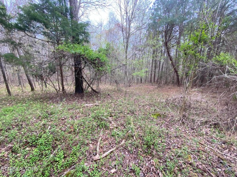 357 County Road 669, Athens, TN 37303