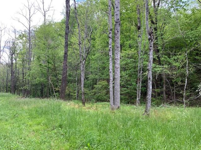 357 Smokey Branch Rd, Vonore, TN 37885