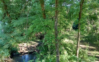 358 County Road 580, Athens, TN 37303