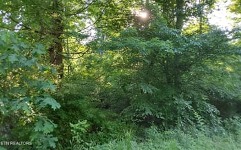 358 County Road 580, Athens, TN 37303