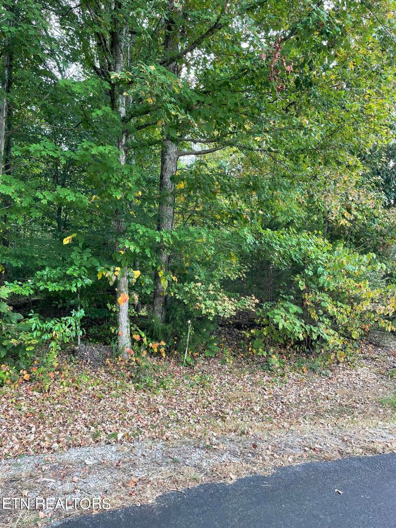 358 Dudala Tc, Loudon, TN 37774