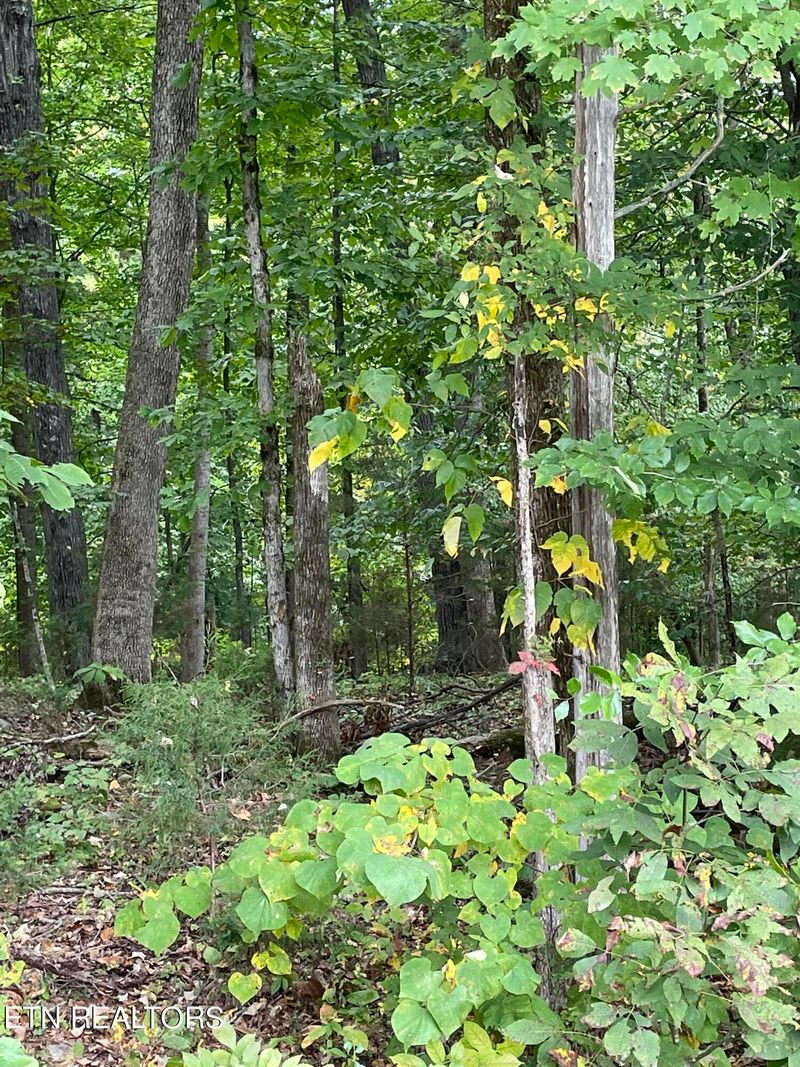 358 Dudala Tc, Loudon, TN 37774