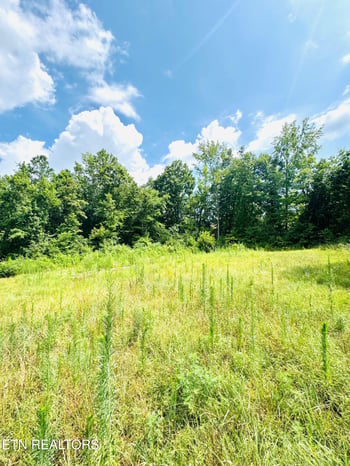 359 Shadows Lawn Dr, Athens, TN 37303