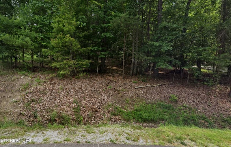 36 Markham Ter, Fairfield Glade, TN 38558