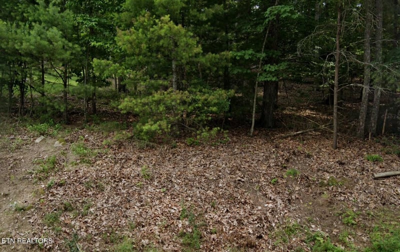 36 Markham Ter, Fairfield Glade, TN 38558
