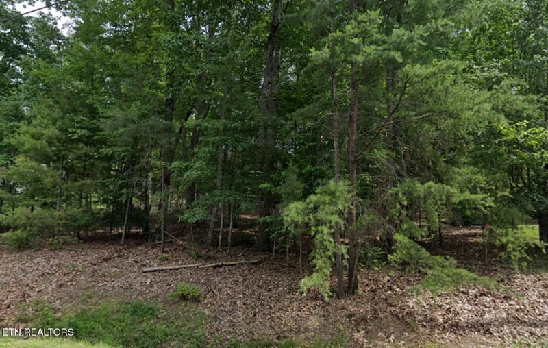 36 Markham Ter, Fairfield Glade, TN 38558